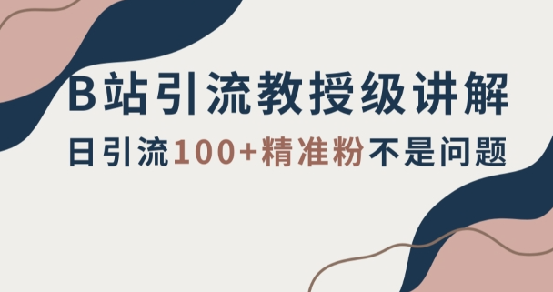 B站引流教授级讲解，细节满满，日引流100+精准粉不是问题【揭秘】-第一资源库