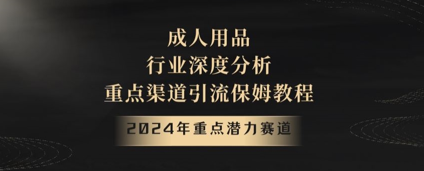 2024年重点潜力赛道，成人用品行业深度分析，重点渠道引流保姆教程【揭秘】-第一资源库