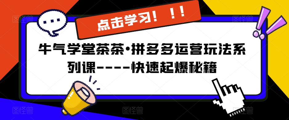 牛气学堂茶茶•拼多多运营玩法系列课—-快速起爆秘籍-第一资源库