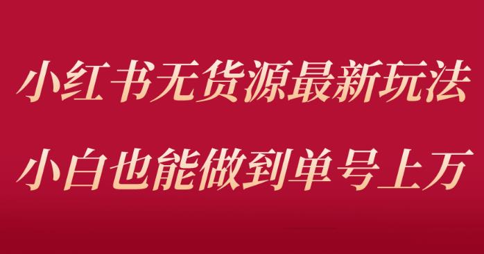 小红书无货源最新螺旋起号玩法，电商小白也能做到单号上万（价值3980元）-第一资源库
