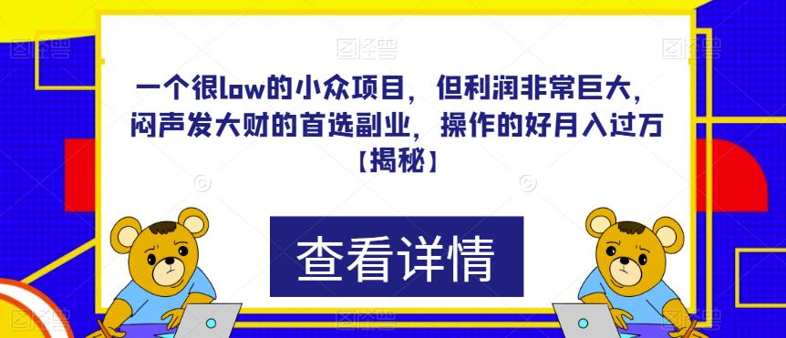 一个很low的小众项目，但利润非常巨大，闷声发大财的首选副业，操作的好月入过万【揭秘】-第一资源库