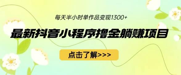最新抖音小程序撸金躺赚项目，一部手机每天半小时，单个作品变现1300+【揭秘】-第一资源库