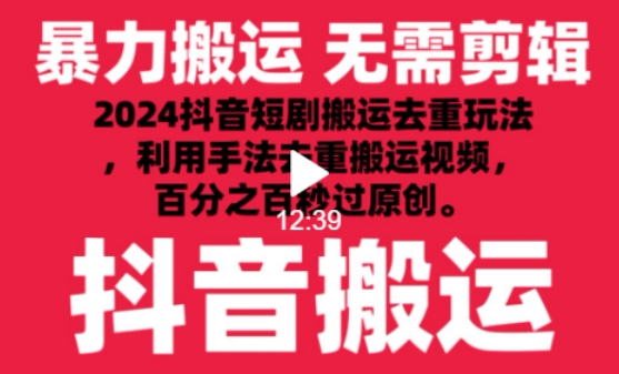 2024最新抖音搬运技术，抖音短剧视频去重，手法搬运，利用工具去重，达到秒过原创的效果【揭秘】-第一资源库