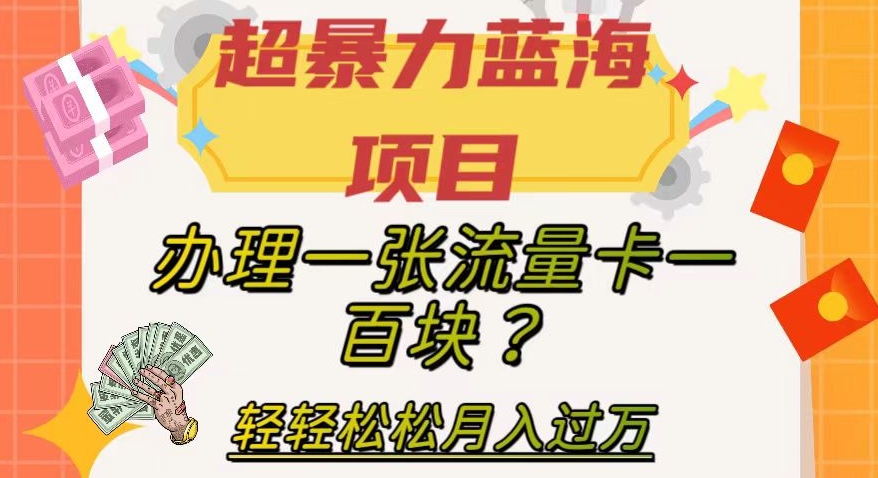 超暴力蓝海项目，办理一张流量卡一百块？轻轻松松月入过万，保姆级教程【揭秘】-第一资源库