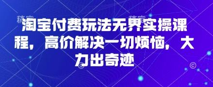 淘宝付费玩法无界实操课程，高价解决一切烦恼，大力出奇迹-第一资源库