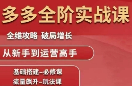 拼多多全阶实战课程，全维攻略，破局增长，从新手到运营高手-第一资源库