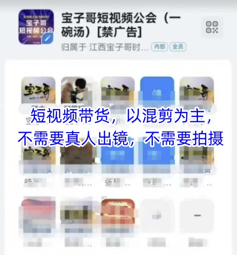 宝子哥头部团队短视频带货，以混剪为主，不需要真人出镜，不需要拍摄【更新8月】-第一资源库