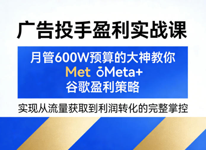 广告投手盈利实战课，月管600W预算的大神教你Meta+谷歌盈利策略，实现从流量获取到利润转化的完整掌控-第一资源库