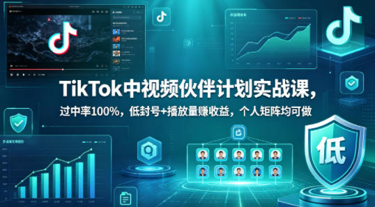 TikTok中视频伙伴计划实战课，过中率100%，低封号+播放量賺收益，个人矩阵均可做-第一资源库