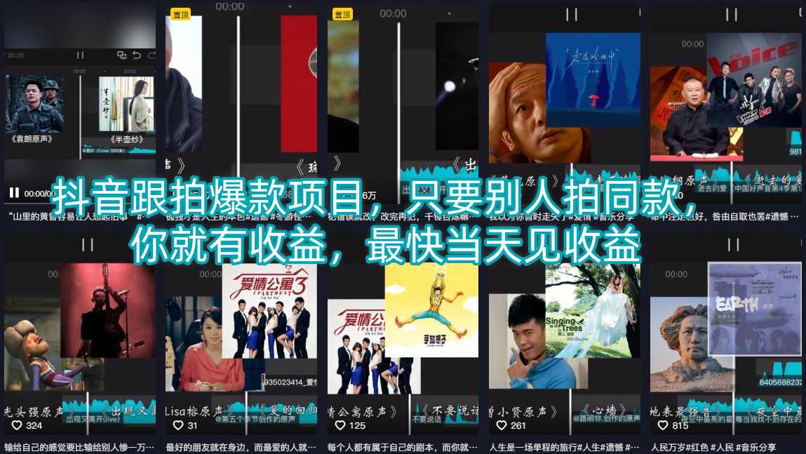 抖音跟拍爆款项目，只要别人拍同款，你就有收益，最快当天见收益-第一资源库