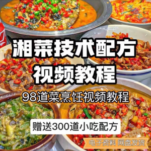 【0.01秒发】98道湘菜技术配方视频教程商用湖南菜炒菜特色小吃-第一资源库