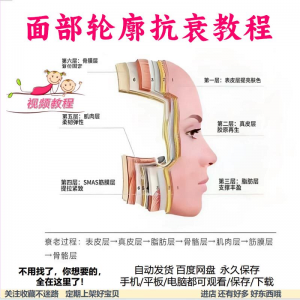 美商课程面部轮廓抗衰美肤减龄变美视频教程形象管理内在美好气色-第一资源库