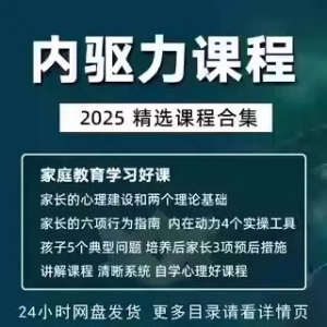 内驱力培训课程培养孩子自觉性提升内在亲子教育学习电子版资料-第一资源库