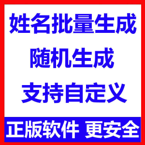 姓名批量生成工具 用户名随机不重复生成软件 可自定义-第一资源库