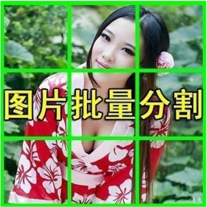 图片批量切割软件 图片批量分割工具 批量切图器 图片批量裁剪-第一资源库