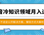 抖音冷知识领域月入过万项目，不适宜公开解决方案 ，抖音赚钱方式大解析！-第一资源库