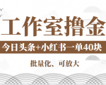 工作室撸金二件套:撸今日头条原创收益+小红书一单利润40块项目-第一资源库