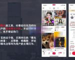 麦子互娱短视频带货·0基础做好物分享账号，无需出镜无需货源无需拍摄-第一资源库