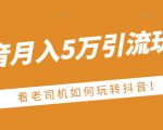 老古董·抖音月入5万引流玩法,看看老司机如何玩转抖音(附赠:抖音另类引流思路)-第一资源库