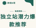 【跨境B哥】独立站潜力爆款选品推荐,测款出单率高达百分之80-第一资源库