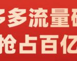 阿杰·拼多多流量破局:如何打黑标,爆款的思路,拼多多流量框架,快速抢占百亿流量-第一资源库