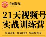 张萌21天视频号实战训练营，裂变涨粉、内容创作、视频号变现 价值298元-第一资源库