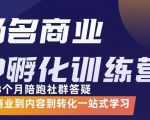 杨名商业IP孵化训练营,从商业到内容到转化一站式学 价值5980元-第一资源库