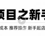虚拟项目快速起店模式，0成本打造月入几万虚拟店铺！-第一资源库