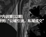 新媒体IP内训营(12期)，一套全新的“公域引流，私域成交”IP打法，直接带走-第一资源库