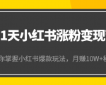 21天小红书涨粉变现营(第4期):带你掌握小红书爆款玩法,月赚10W+秘密-第一资源库