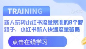 新人玩转小红书流量暴涨的8个野路子,小红书新人快速流量破局-第一资源库