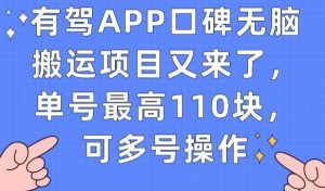 有驾APP口碑无脑搬运项目又来了，单号最高110块，可多号操作-第一资源库