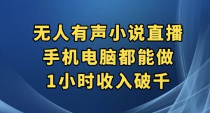 抖音无人有声小说直播,手机电脑都能做,1小时收入破千【揭秘】-第一资源库