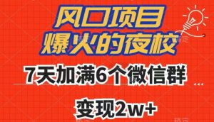 全网首发,爆火的夜校,7天加满6个微信群,变现2w+【揭秘】-第一资源库