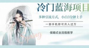 冷门蓝海项目,操作简单,小白3分钟上手,多种引流方式,保姆式全流程教学【揭秘】-第一资源库