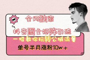 全网独家抖音图文矩阵引流,一招教你玩转公域流量,单号半月涨粉10w+【揭秘】-第一资源库