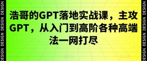 浩哥的GPT落地实战课,主攻GPT,从入门到高阶各种高端法一网打尽-第一资源库