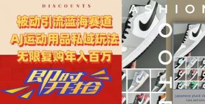 被动引流蓝海赛道,AJ运动用品私域玩法,无限复购年入百万【揭秘】-第一资源库
