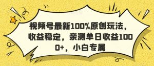 视频号最新100%原创玩法,收益稳定,亲测单日收益1000+,小白专属【揭秘】-第一资源库