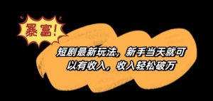 短剧最新玩法，新手当天就可以有收入，收入轻松破万【揭秘】-第一资源库