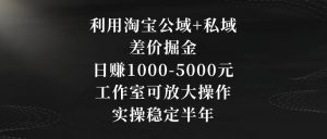 利用淘宝公域+私域差价掘金,日赚1000-5000元,工作室可放大操作,实操稳定半年【揭秘】-第一资源库