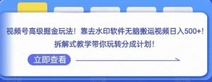 视频号高级掘金玩法,靠去水印软件无脑搬运视频日入500+,拆解式教学带你玩转分成计划【揭秘】-第一资源库