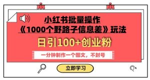 小红书批量操作《1000个野路子信息差》玩法,一分钟制作一个图文,不封号,日引100+创业粉-第一资源库