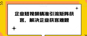 企业短视频精准引流矩阵获客,解决企业获客难题-第一资源库