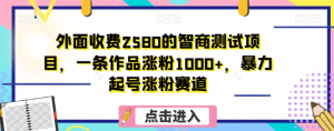 外面收费2580的智商测试项目，一条作品涨粉1000+，暴力起号涨粉赛道【揭秘】-第一资源库