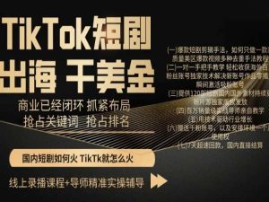 TikTok短剧出海干美金,商业已经闭环抓紧布局,抢占关键词抢占排名-第一资源库