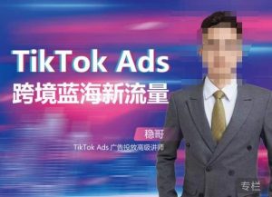 稳哥·如何投出高ROI的TikTok广告,开拓独立站卖家流量新蓝海-第一资源库