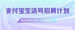支付宝生活号作者招募计划，单号单月2600，可批量去做，工作室一人一个月轻松1w+【揭秘】-第一资源库