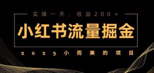 2023小而美的项目，小红书流量掘金，实操一天，收益200+【揭秘】-第一资源库