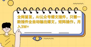 全网首发,AI公众号爆文插件,只需一款插件全自动输出爆文,矩阵操作,月入3W+【揭秘】-第一资源库